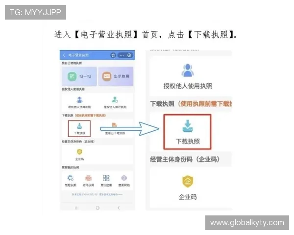 开云登录下载步骤指南，轻松应对各种登录环境问题