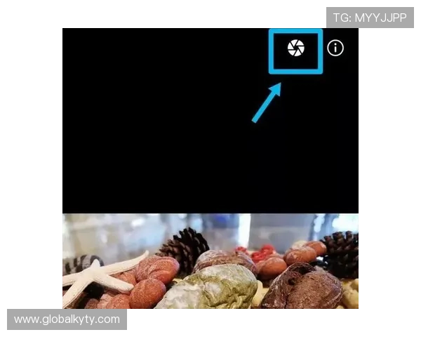 开云体育pp手机客户端使用指南:手机端操作流程与功能介绍 开云体育pp手机客户端使用指南:手机端操作流程与功能介绍