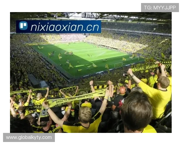 开开云体育入口：多功能体育直播平台入口助你畅享精彩赛事